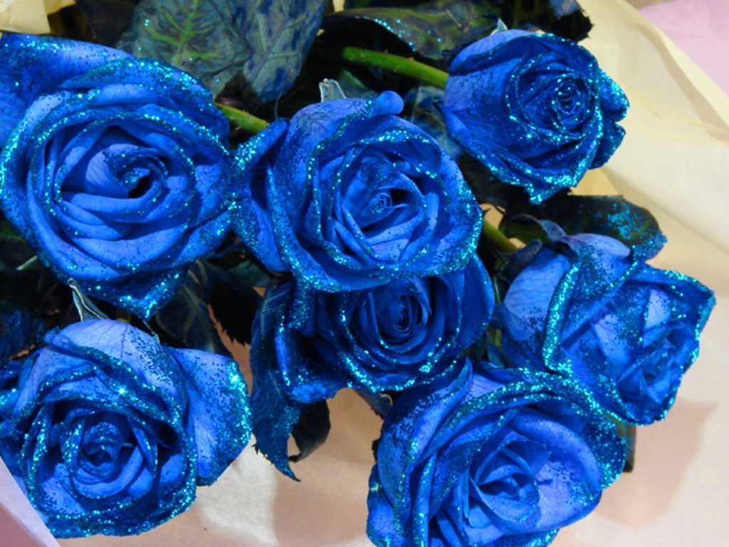 Ramo azul de rosas