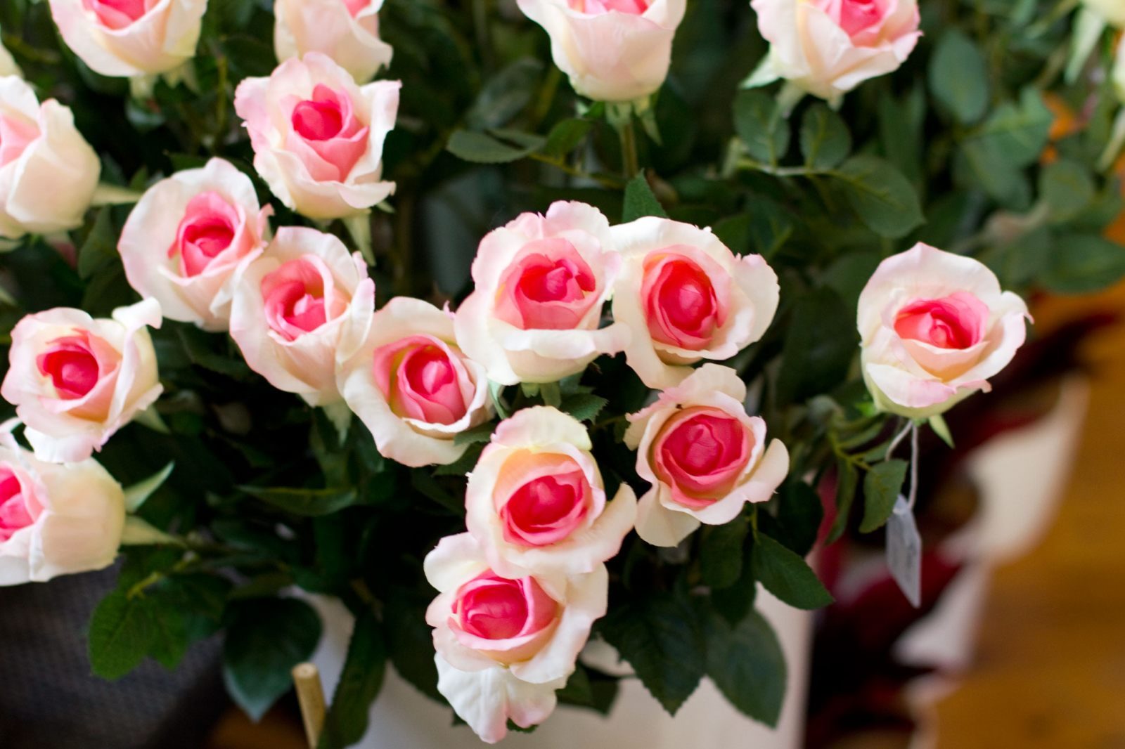 Rosas blancas rosadas