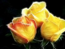 Rosas amarillas 3D