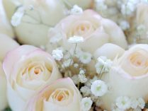 Rosas blancas de boda