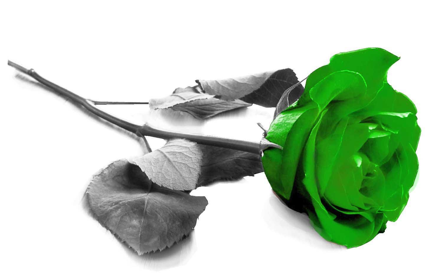 Rosa verde 3D