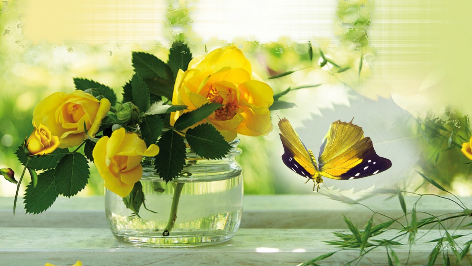 Rosas con una mariposa Rosas con una mariposa