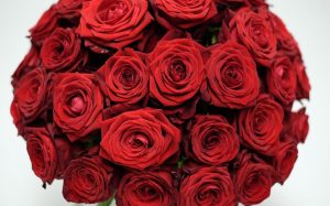 Claves para cuidar un ramo de rosas