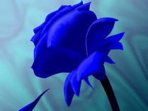 Dibujo de una rosa azul