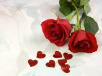 Fondo romántico con rosas rojas