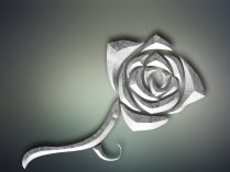 Rosa 3D