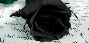 Rosas negras